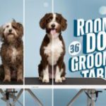 Buyer’s Guide: ROOMTEC 36-Inch Dog Grooming Table