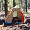 Wilderness Survival: Your Guide to Thriving Outdoors