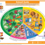 Supplements for a Balanced Diet: The Essential Guide