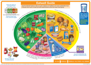 Supplements for a Balanced Diet: The Essential Guide