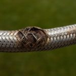 Emergency Plumber Tips for Dealing with Burst Pipes and Hoses