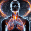 Thyroid Blood Test Guide: Health Insights for Grimsby