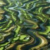 Bellville Golf Club: Your Ultimate Golfing Destination