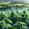 Herbs for Hair Shine: Top UK Selections You’ll Love