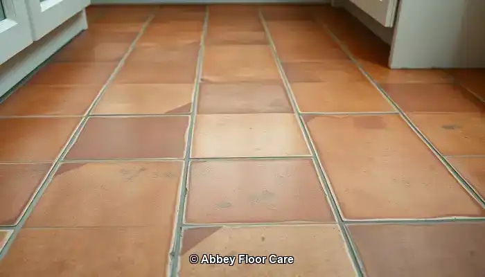 Identifying the Reasons Behind Rapid Dirt Accumulation on Terracotta Floors