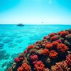 Belize Travel Guide: Essential Tips and Location Insights