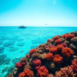 Belize Travel Guide: Essential Tips and Location Insights