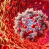 Ferritin Blood Test Guide for Bootle Residents’ Health